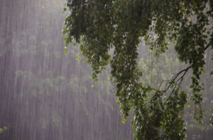 首頁 5 typhoon-03
