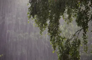 矯正失敗 1 typhoon-03